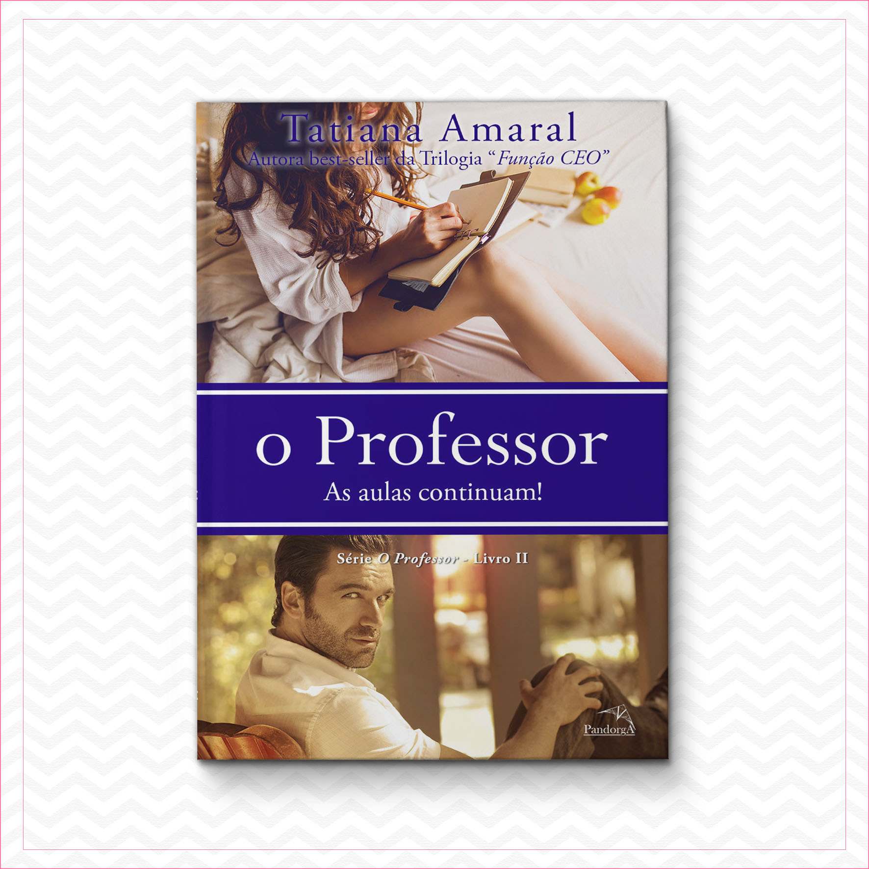 O Professor 2 - As aulas continuam - Tatiana Amaral