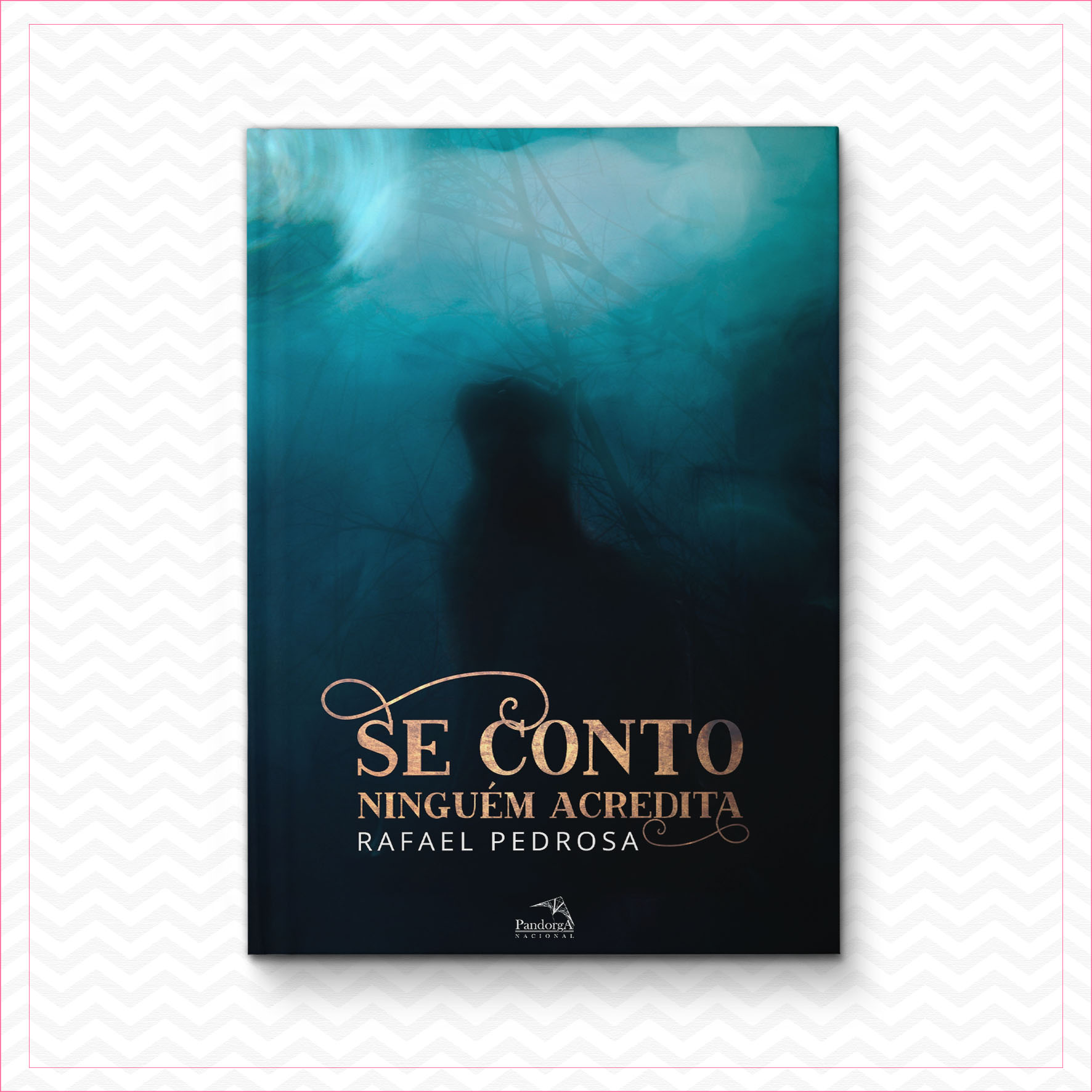 Se conto ninguém acredita – Rafael Pedrosa